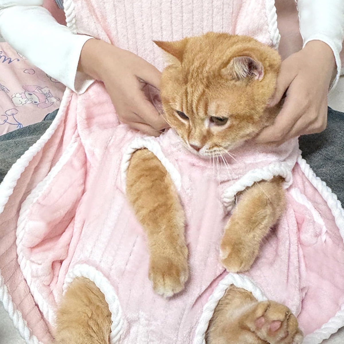 PellyPet™ Amor en tu Bolsillo
